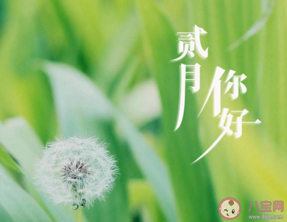 2021二月请对我好一点的心情说说 2021二月请对我好一点句子大全