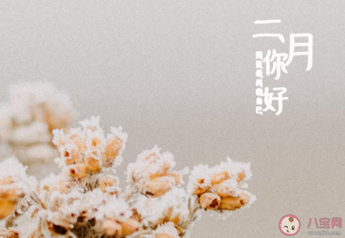 2021二月请对我好一点的心情说说 2021二月请对我好一点句子大全