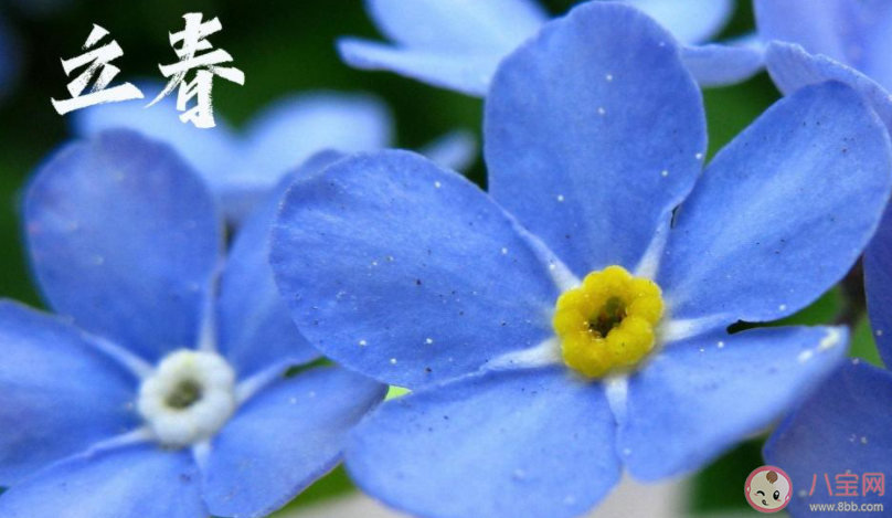 2021适合立春节气的朋友圈说说 2021立春节气发朋友圈文案句子
