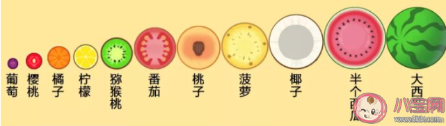 合成小芝麻合成顺序是怎样的 合成小芝麻合的玩法诀窍