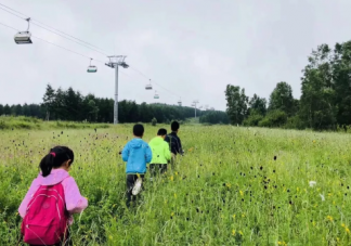 快乐教育真的比应试教育好吗 什么是真正的应试教育