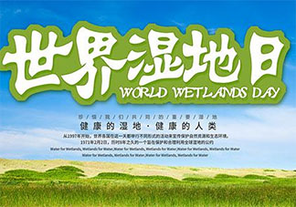 世界湿地日发朋友圈文案说说 世界湿地日宣传句子大全