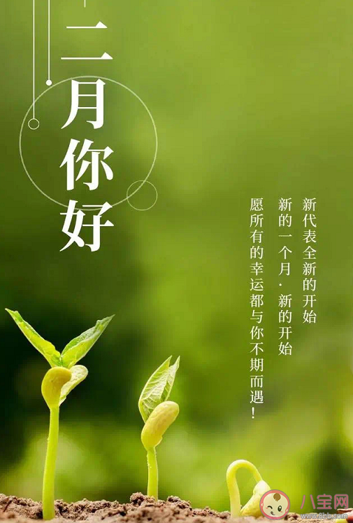 2月第一天早安文字配图句子 2021二月第一天早安朋友圈说说文案