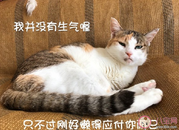 你以为内向的人不一定内向是什么意思 内向的人具体的表现是什么
