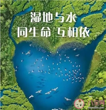 2021世界湿地日主题是什么 2021世界湿地日由来意义介绍