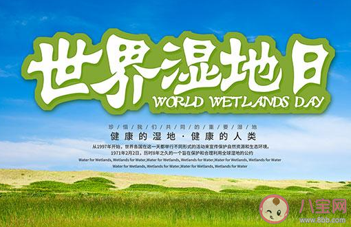世界湿地日发朋友圈文案说说 世界湿地日宣传句子大全