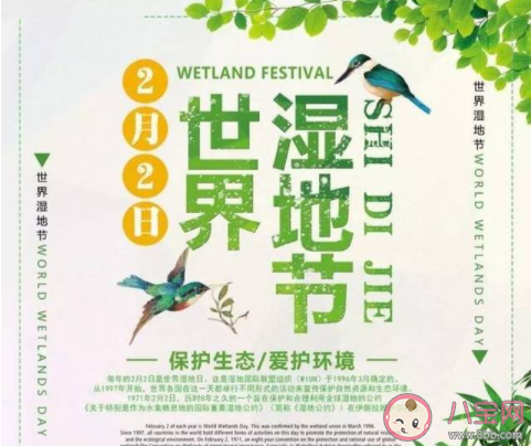 世界湿地日发朋友圈文案说说 世界湿地日宣传句子大全