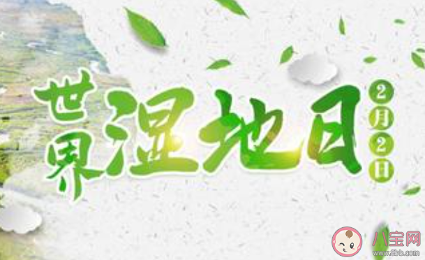 世界湿地日发朋友圈文案说说 世界湿地日宣传句子大全