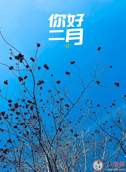 2021适合二月发的温柔文案说说配图 二月发朋友圈温柔说说带图片