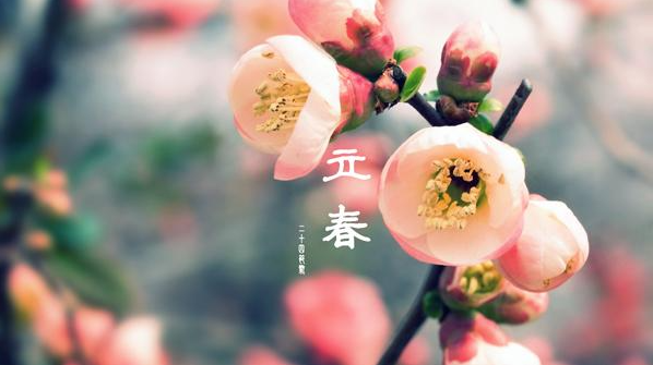 2021立春微信公众号推文样式 2021立春公众号文案样式大全