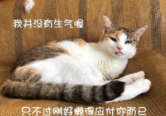 你以为内向的人不一定内向是什么意思 内向的人具体的表现是什么
