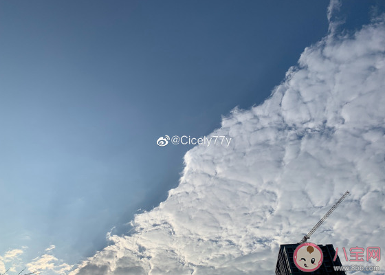 天气没那么冷了发朋友圈说说 天气变暖和了心情一句话句子