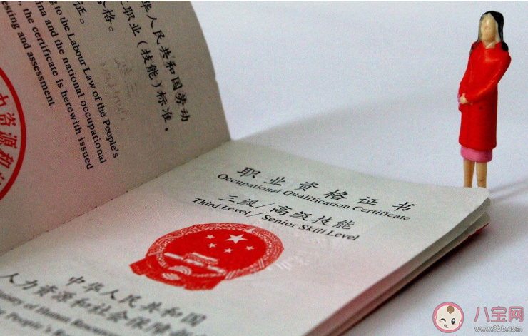 哪些职称发放电子证书 职称电子证书怎么在网上查询
