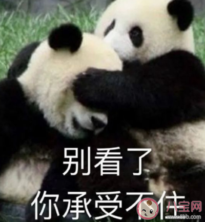 山上的笋都被你夺完了什么意思 笋都被你夺完了什么梗
