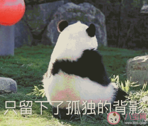网络乞丐四件套是什么梗 网络乞丐四件套是什么意思