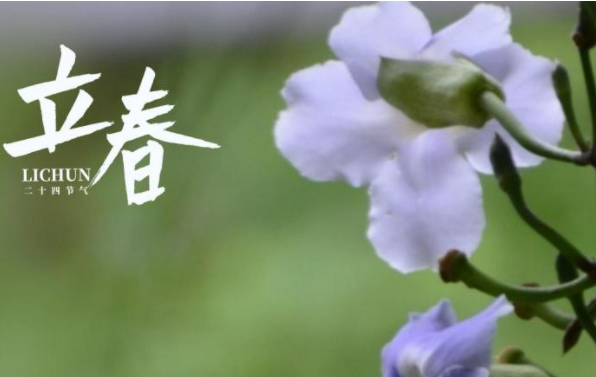 2021立春一句话创意文案句子 2021立春节气简短文案说说