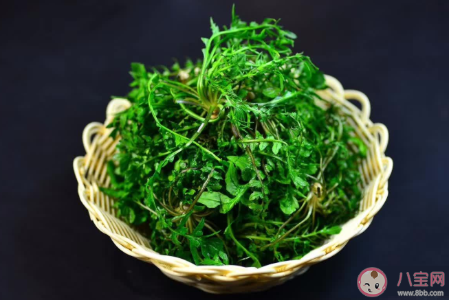 立春咬春要吃哪种蔬菜 蚂蚁庄园2月3日答案最新