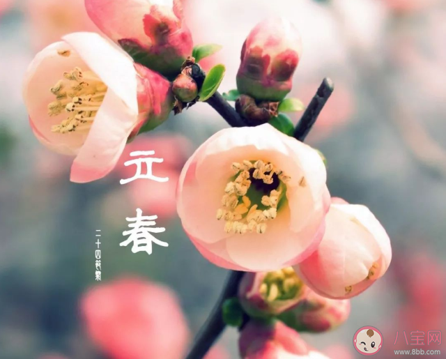 立春为什么要打春牛 立春打春牛有什么含义
