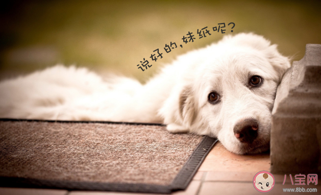 单身的另一种解释是什么 长期单身的人是什么心理