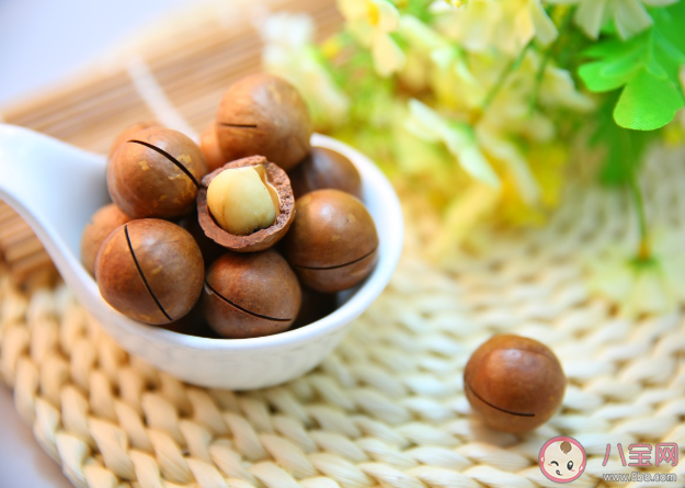 夏威夷果长出来就有口吗 夏威夷果怎么徒手开壳