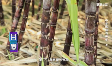 南北方小年习俗对比 全国小年习俗大全