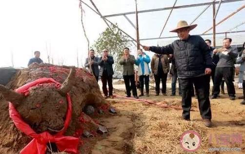 二十四节气立春为什么要打春牛呢 打春牛该怎么打呢