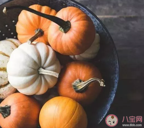长南瓜和圆南瓜的区别到底在哪里 长南瓜和圆南瓜的营养价值一样吗