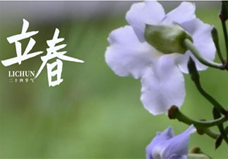 2021立春一句话创意文案句子 2021立春节气简短文案说说