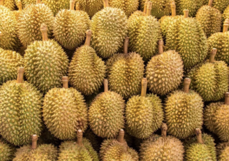 榴莲加热了还能不能吃 榴莲可以不可以用微波炉加热