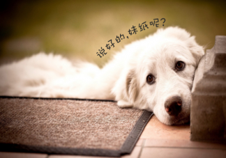 单身的另一种解释是什么 长期单身的人是什么心理