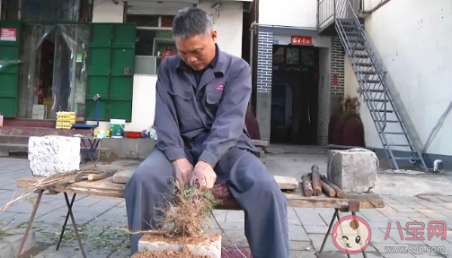 春节前扫尘是我国的传统习俗古人何时能用上扫帚呢 支付宝蚂蚁庄园2月5日问题答案