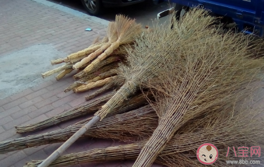 春节扫尘习俗那古人何时能用上扫帚 蚂蚁庄园2月5日答案