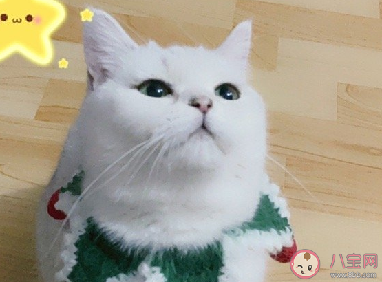 终于回家过年了祝福语图片 终于回家过年了心情感慨句子