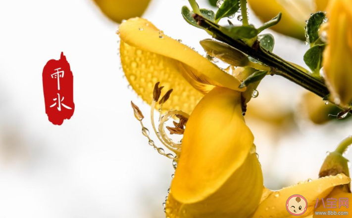 2021雨水节气早安心语图片朋友圈 2021雨水节气发朋友圈图片说说