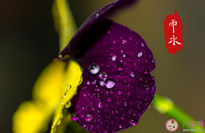 2021雨水节气早安心语图片朋友圈 2021雨水节气发朋友圈图片说说