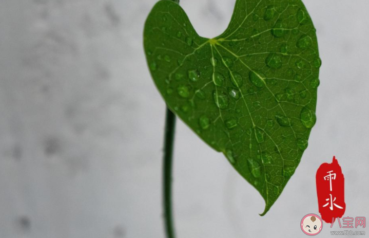 2021雨水节气早安心语图片朋友圈 2021雨水节气发朋友圈图片说说