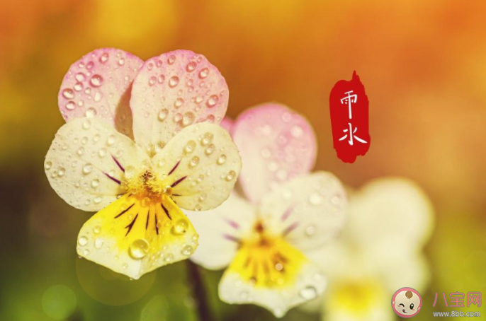 2021雨水节气早安心语图片朋友圈 2021雨水节气发朋友圈图片说说