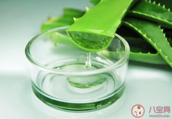 芦荟胶不能起到什么作用 芦荟胶具体有哪些作用和效果