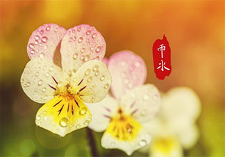 2021雨水节气早安心语图片朋友圈 2021雨水节气发朋友圈图片说说