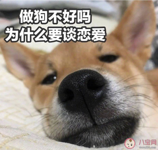 单身生活会孤独吗 如果过好单身生活的日子