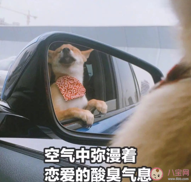 单身生活会孤独吗 如果过好单身生活的日子