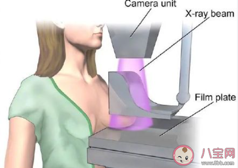 怎么远离乳腺癌 乳腺癌筛查几岁做