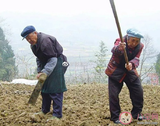 回家帮父母干农活的心情说说 回老家干农活发朋友圈配图