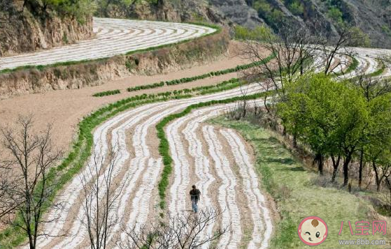 回家帮父母干农活的心情说说 回老家干农活发朋友圈配图