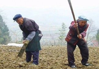 回家帮父母干农活的心情说说 回老家干农活发朋友圈配图