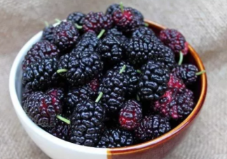 桑葚干洗的时候掉色吗 桑葚干吃多了会伤胃吗