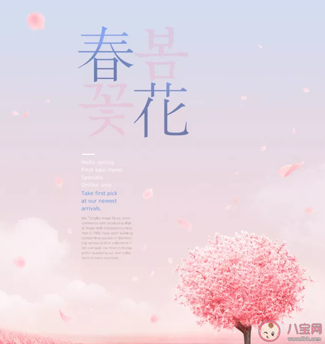 2021适合春天发的温柔文案句子 有关春天的优美句子带图片大全