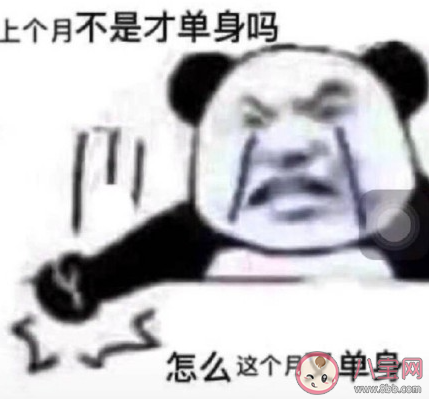 2021情人节单身的文案 情人节单身搞笑说说