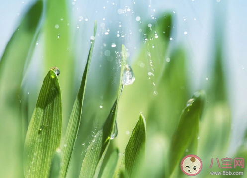 2021今日雨水的心情说说  今日雨水朋友圈文案语录