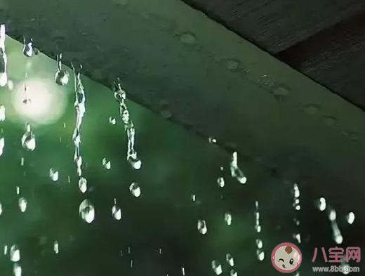 2021今日雨水的心情说说  今日雨水朋友圈文案语录